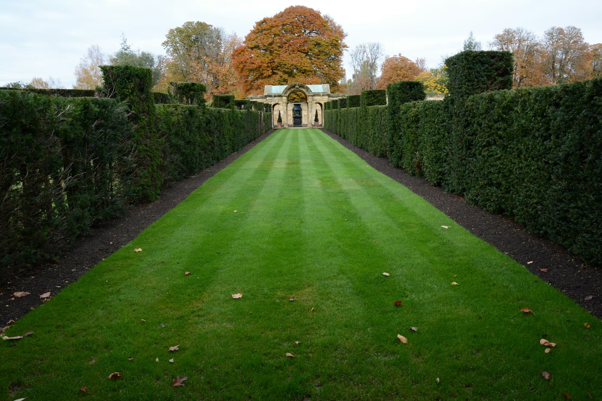 Professionell gepflegte Gartenanlage mit geschnittener Hecke und Rasenfläche